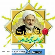 آیَتـــُ اللّہ بَهجَـتـــْ(ره)