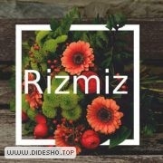ریزمیز
