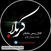 عاشقان کربلا