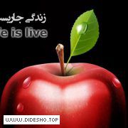 زندگی جاریست