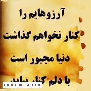 دل نوشته های امیر