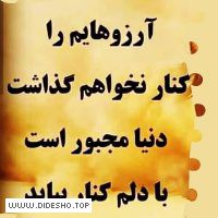 دل نوشته های امیر