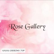 رز گالری