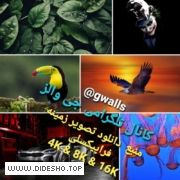 جی والز – دانلود جدیدترین و بهترین عکس های والپیپری