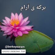 متون ادبی،دل نوشته های خودم،سخنان بزرگان